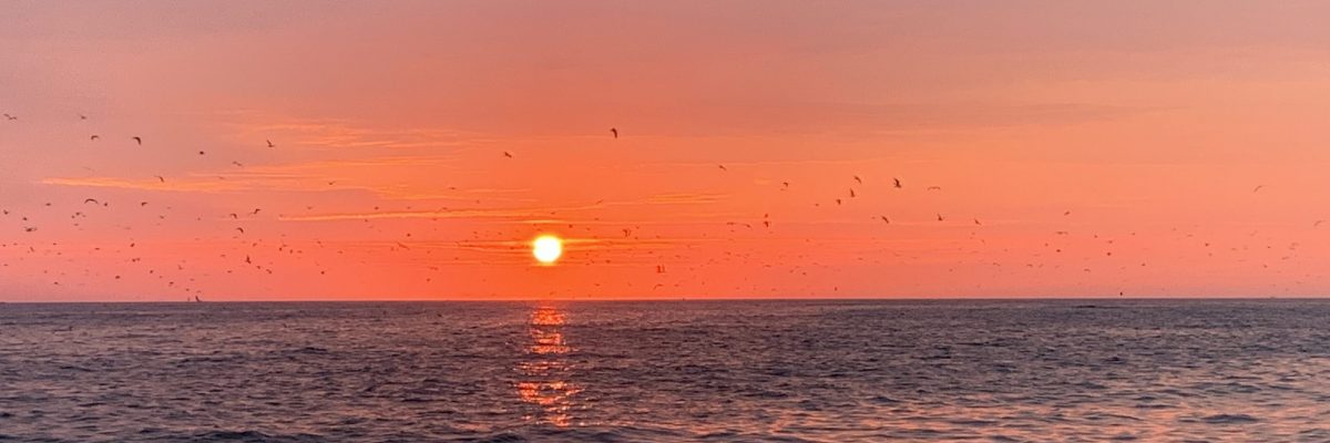 o7gRrQ9gREK33KdKz5qe7g Sunset
